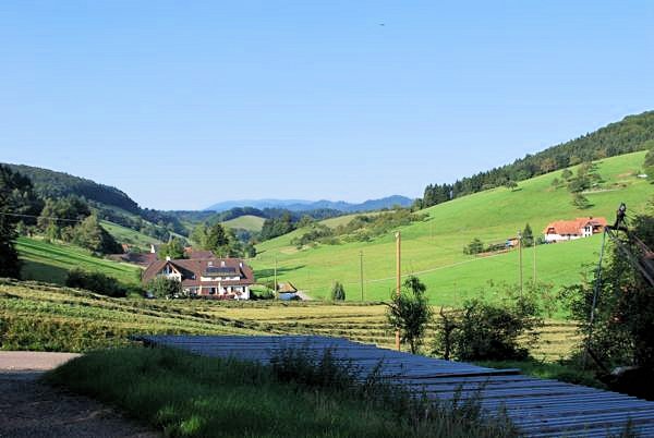 Blick ins Prinzbachtal